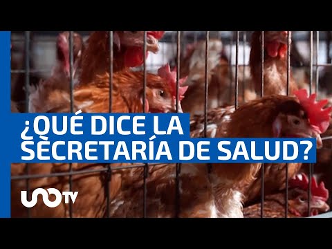 Primera muerte de gripe aviar H5N2 en México y el mundo