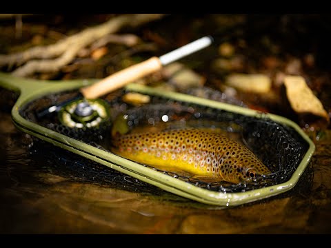 If I Could Only Use One Trout Rod