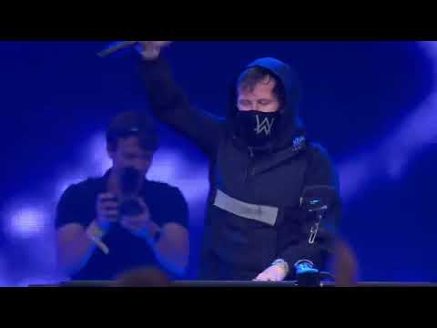 Moments like this with the one and only Alan Walker.