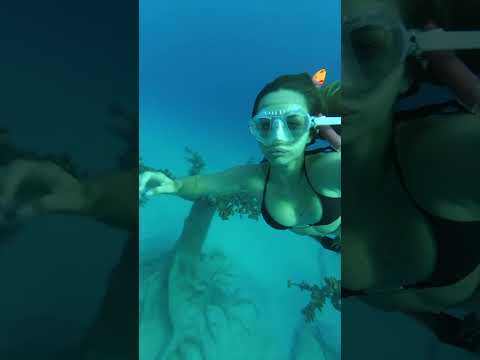 If I took you underwater…Would you come back up? / #trending #girl #girls #beautiful #model #foryou