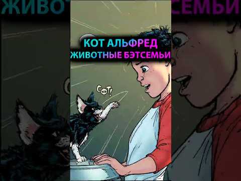 ЖИВОТНЫЕ Бэтсемьи | Кот АЛЬФРЕД #batman #марвел #дс #бэтмен #dc #gotham #готэм #batfamily