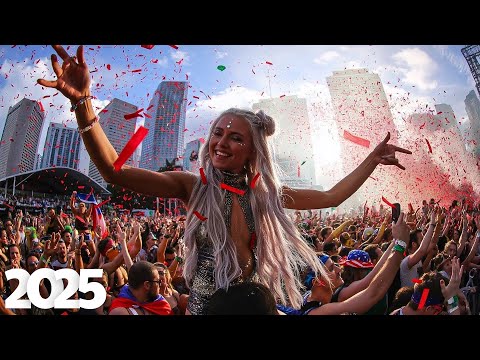 Tomorrowland 2025 - David Guetta, Martin Garrix, Tiësto, Hardwell, Avicii, Swedish House Mafia