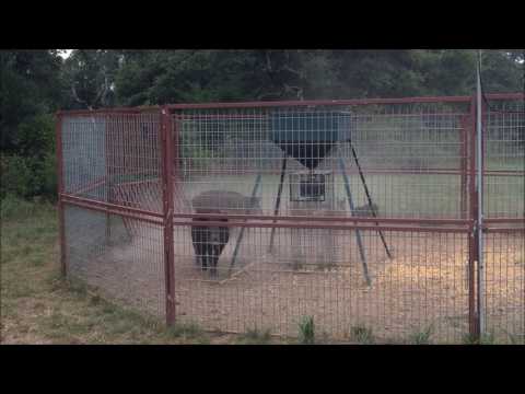 Slammer Head Gate and Trap by Goin Fencing