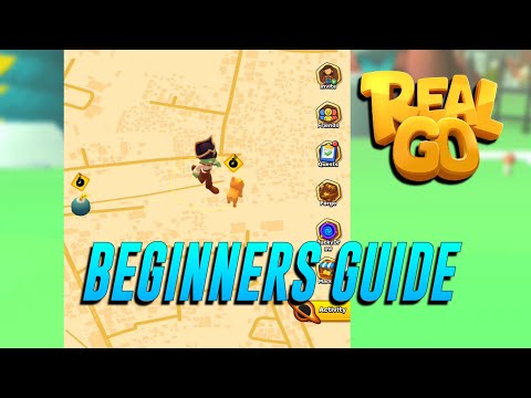 REALGO BEGINNERS GUIDE