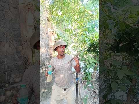 Chắc chắn bạn đã từng trải nghiệm rồi#camping #survival #bushcraft #outdoors#990#shorts👀😅💧🍾🤤😜