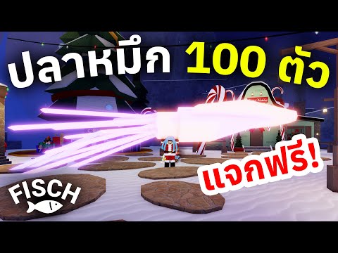 ผมแจกปลาหมึกออโรร่า100ตัวให