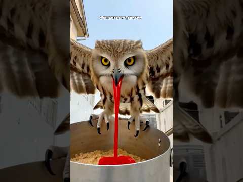 Our savior in heaven #brightlightcomedy #funny #shorts #fyp