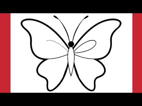كيف ارسم فراشة سهلة بالخطوات