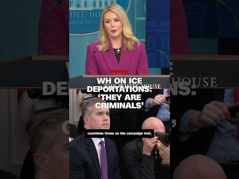 White House on ICE deportations: 'They are criminals'