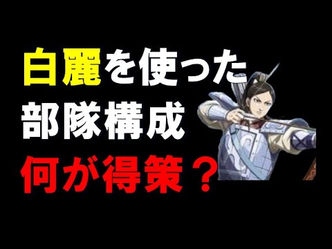 【キングダム乱】白麗を使った部隊、どの構成が得策？