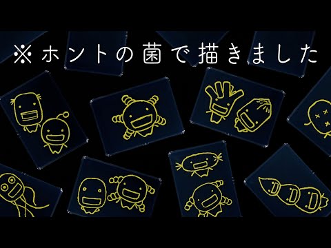 『もやしもん＋』第一巻発売記念PV｜※ホントの菌で描きました