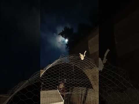 night time time lapse 🌙 