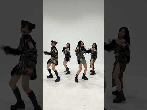 วิธีคำรามที่ถูกต้อง🦁|WHISPE