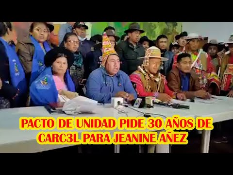 PACTO DE UNIDAD PIDE A LA JUSTICIA S4NCIONAR CON 30 AÑOS DE CARC3L PARA LA GOLPIST4 JEANINE AÑEZ...