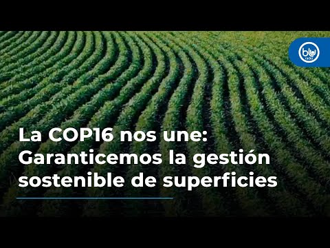 La COP16 nos une: Garanticemos la gestión sostenible de superficies