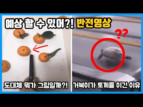 무슨 일이 일어날지 예상해보자.