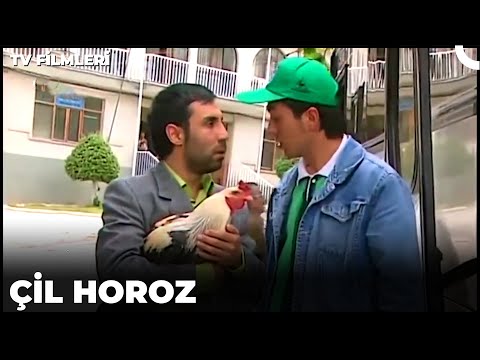 Çil Horoz - Kanal 7 TV Filmi