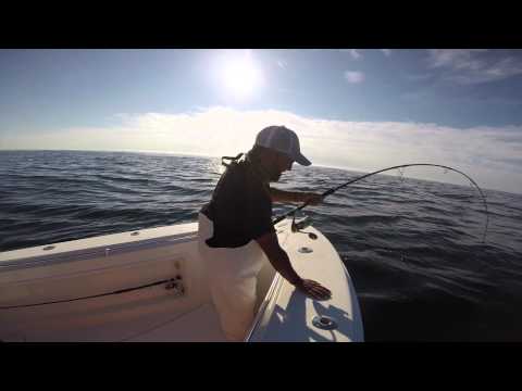 testing the new shimano twin power and ocea popping rod on bluefin tuna
