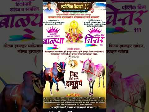 बाळ्याभाई आणि चित्तर | फायनल व गुलालाचे मानकरी | #बकासुर #bailgadasharyat #naadekachbailgadasharyat