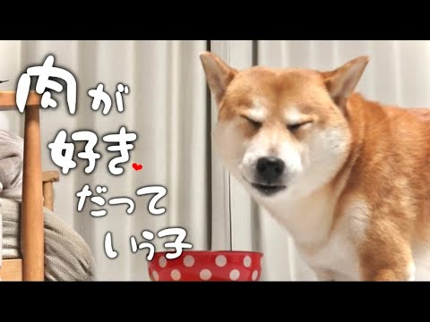 愛犬の健康を支える手作りごはんと安心ポイント サムネイル