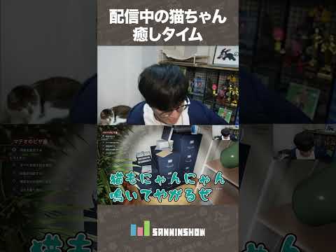 配信中の猫ちゃん癒しタイム【Crime Scene Cleaner】 #shorts