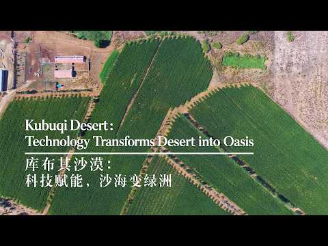Kubuqi Desert: Technology transforms desert into oasis