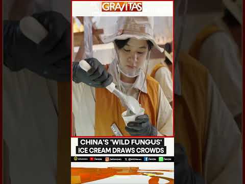 Wild Fungus Ice Cream Lures Global Travellers | GRAVITAS