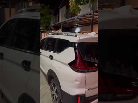 Ada Berapa Kucing Di Video Ini? #cat #nizamkucinglucu #cute #貓咪日常 #funny #imut #pets #kucing #貓