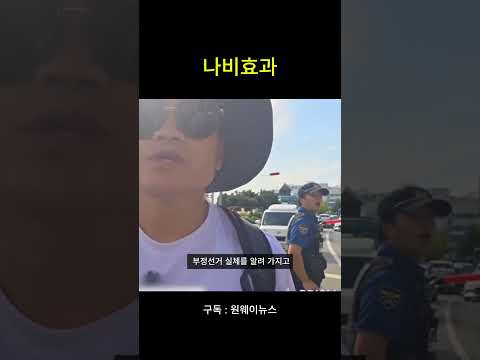 <strong>나비효과</strong>