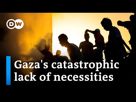 Pauses in the fighting: Can they relieve civilian suffering in Gaza? | DW News