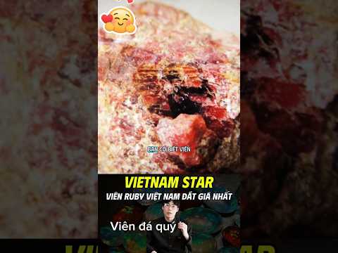 VIÊN RUBY ĐẮT GIÁ NHẤT #daquy