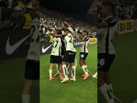 image para ilustrar o artigo