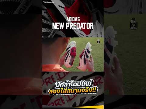 adidasNewPredatorนักล่าโฉมใ