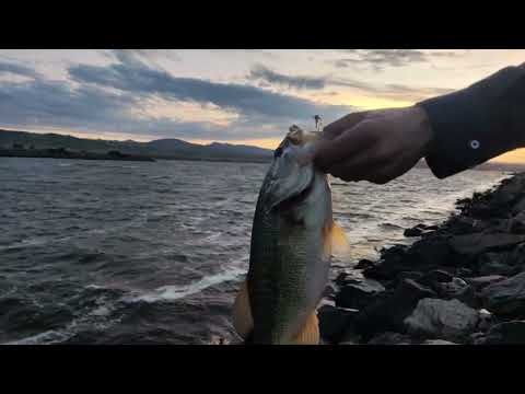 HCBCHEMISTRY MENTIONED YOU WHILE FISHING LIVE #fishing thank you for commenting on the Great sport of fishing
