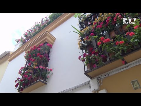 Rejas y balcones en la calle Vidros