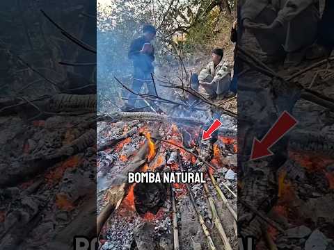 “¡Parece un trueno… pero no es lo que crees!”