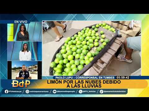 BDP EN VIVO El precio de limón por las nubes: venden Tres por 2 soles en Tumbes