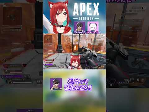 thumbnail_qM2LY0D_SFE