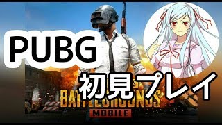 【PUBG】 初見プレイ  Vtuber 未来彩