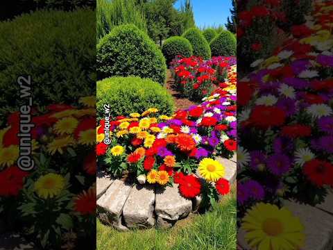 beutiful natural flowers🌸🌺#beatifulnature #trending #flowers #beautifulflowers #viralvideo #ytshts