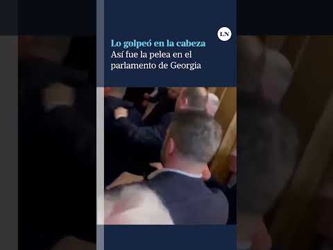 Lo golpeó en la cabeza: así fue la pelea en el parlamento de Georgia
