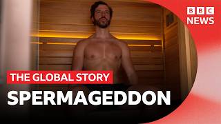 Thumbnail for the video "Why are men trying to boost their sperm count? | The Global Story" from BBC News