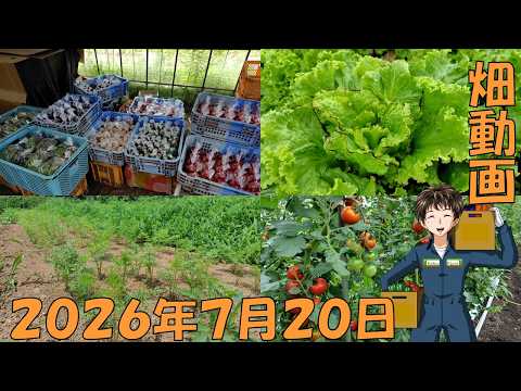 【26/7/20】今日は猛暑日！熱中症に注意しましょう。