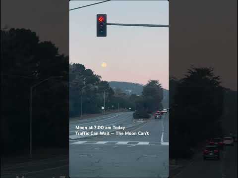 The Moon Stopped Me Too #Moon #FullMoon #NatureMagic #NatureLovers #SkyBeauty #CalmVibes #serenity