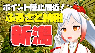 【ふるさと納税】ポイント廃止間近🔥ガチ駆け込みは新潟でしょッ🍚🍶✨【勝手に新潟宣伝大使/Vtuber越後屋ときな】#shorts