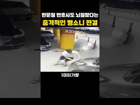 한문철 변호사도 뇌절왔다는 충격적인 뺑소니 <strong>판결</strong>