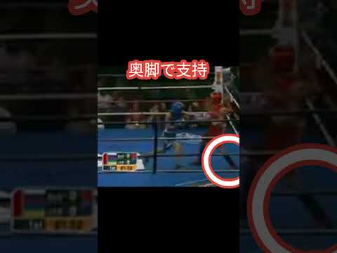 セリモフのチェックフック