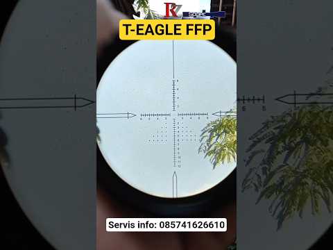 T-Eagle FFP #teagle #marcool #servisteleskop #swampdeer #vectoroptics #teleskopdiscovery #westhunter