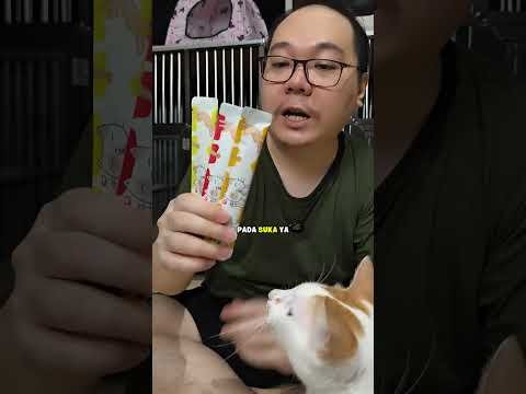 review snack creamy kucing