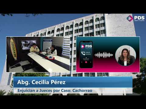 Abg. Cecilia Pérez - Enjuician a Jueces por caso Cachorrao